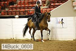 14buck_0608 proof