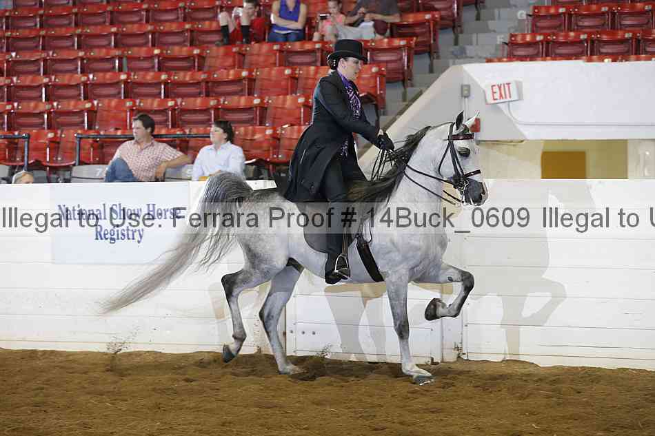 Proof 14buck_0609