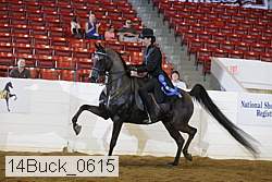 14buck_0615 proof