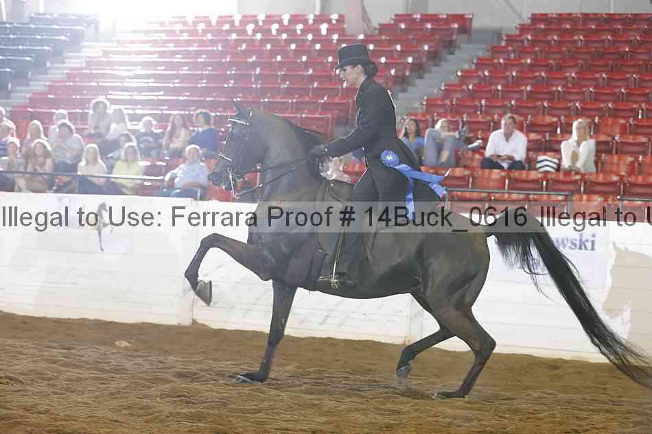 Proof 14buck_0616