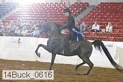 14buck_0616 proof