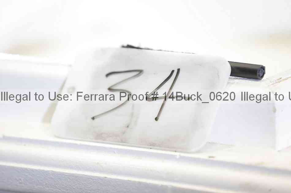 Proof 14buck_0620
