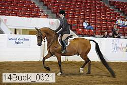 14buck_0621 proof