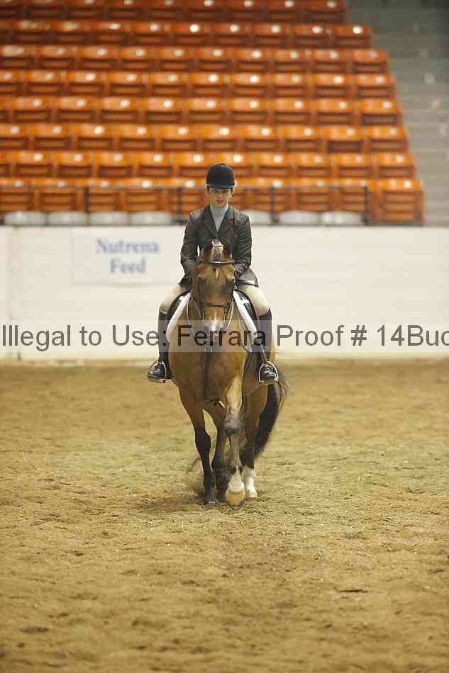 Proof 14buck_0622
