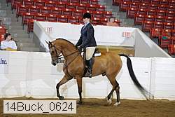 14buck_0624 proof