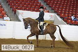 14buck_0627 proof