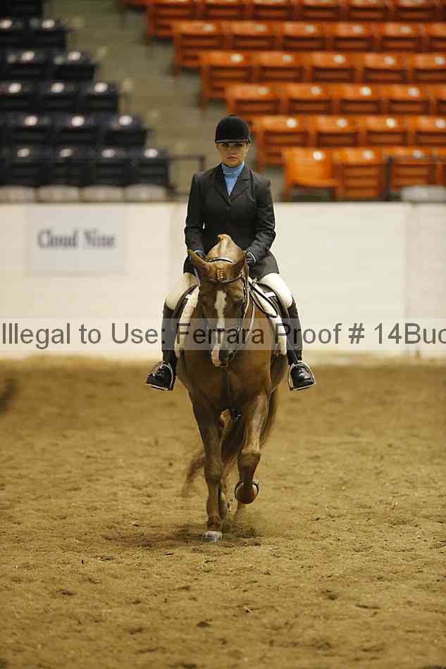 Proof 14buck_0628