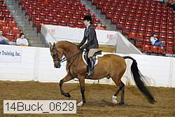14buck_0629 proof
