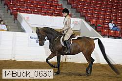 14buck_0630 proof