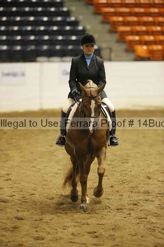 Proof 14buck_0631