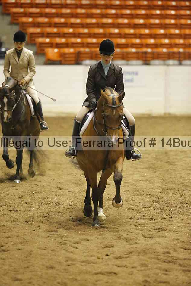 Proof 14buck_0632