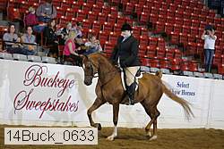 14buck_0633 proof