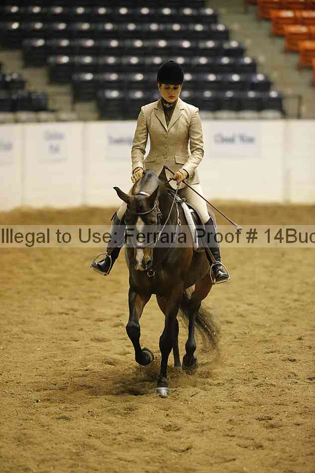 Proof 14buck_0634