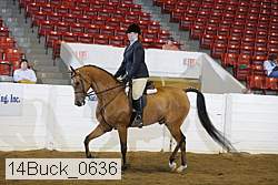 14buck_0636 proof