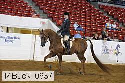 14buck_0637 proof