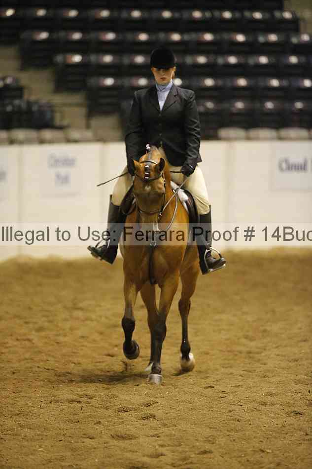 Proof 14buck_0638