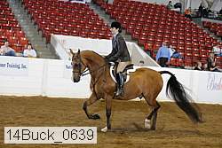 14buck_0639 proof