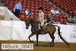 14buck_0640 proof