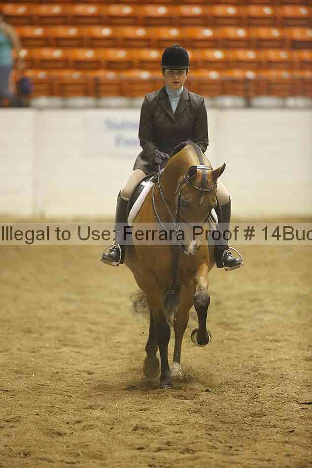 Proof 14buck_0642