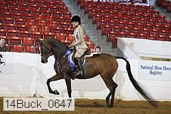 14buck_0647 proof