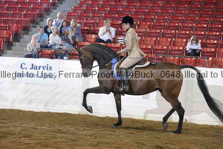 Proof 14buck_0648
