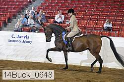 14buck_0648 proof