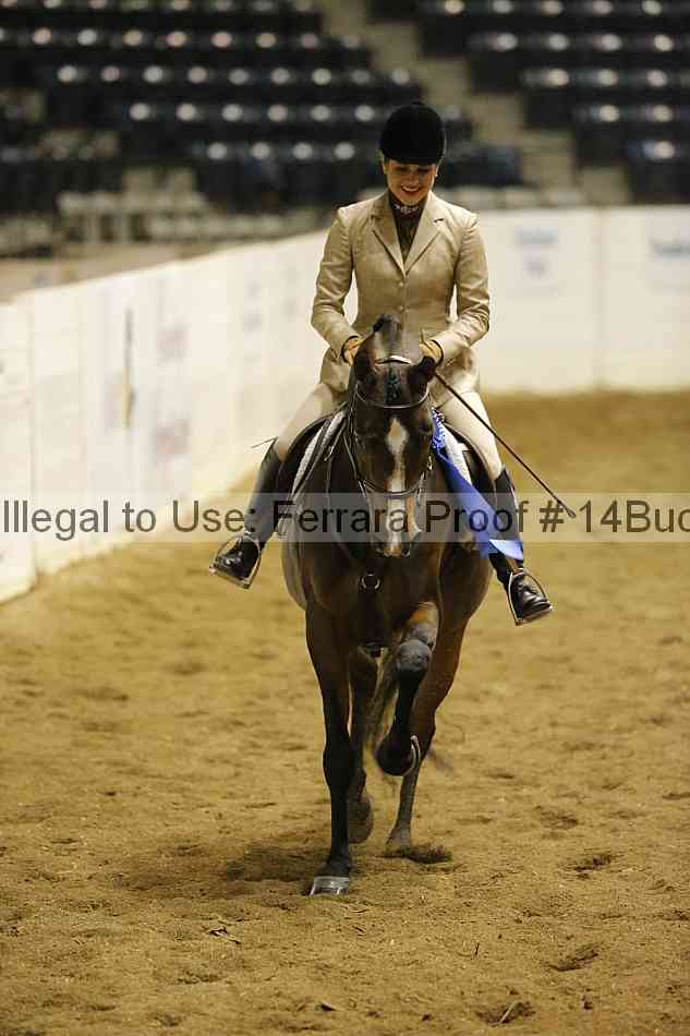 Proof 14buck_0651