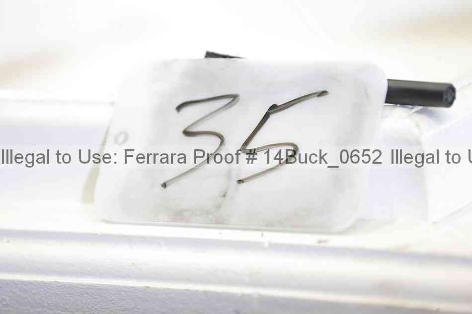 Proof 14buck_0652