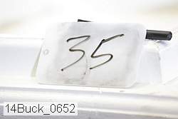 14buck_0652 proof