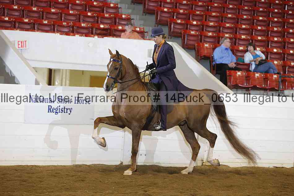 Proof 14buck_0653