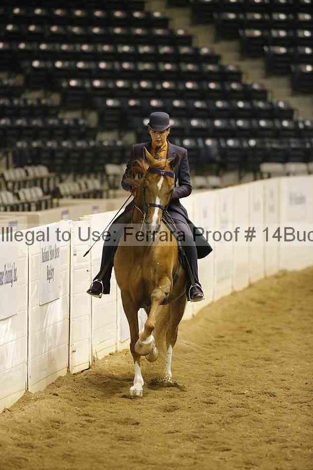 Proof 14buck_0654