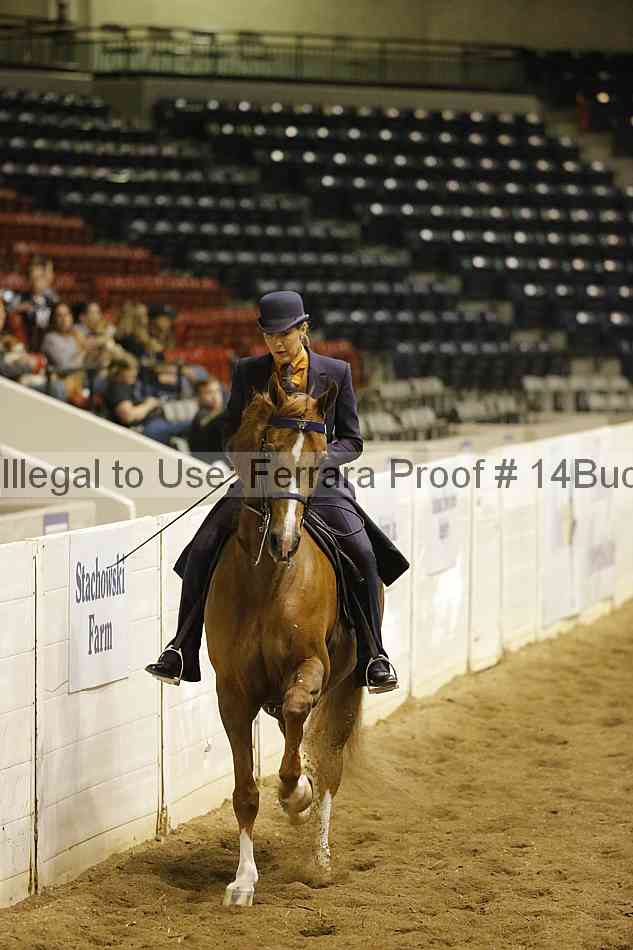 Proof 14buck_0655