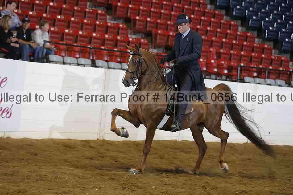Proof 14buck_0656