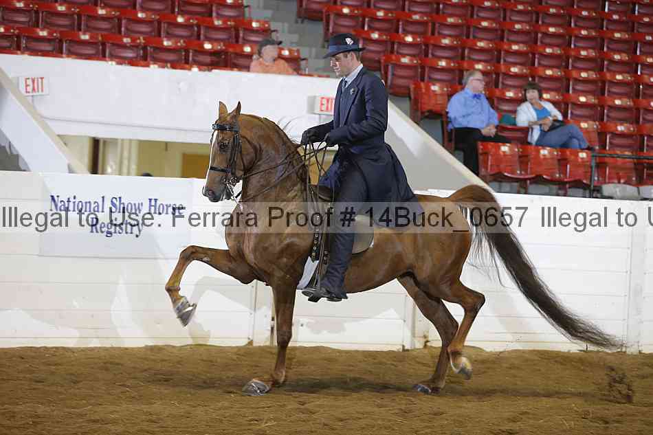 Proof 14buck_0657