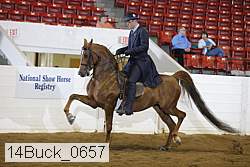 14buck_0657 proof
