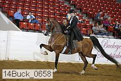 14buck_0658 proof