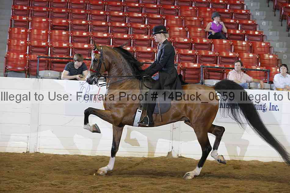 Proof 14buck_0659