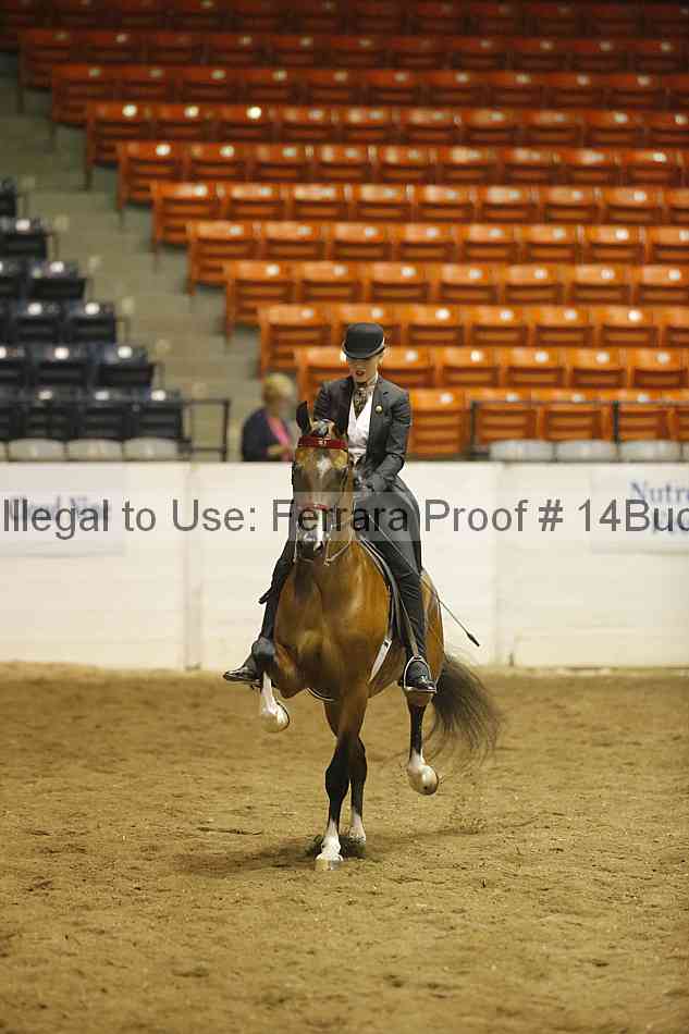 Proof 14buck_0660
