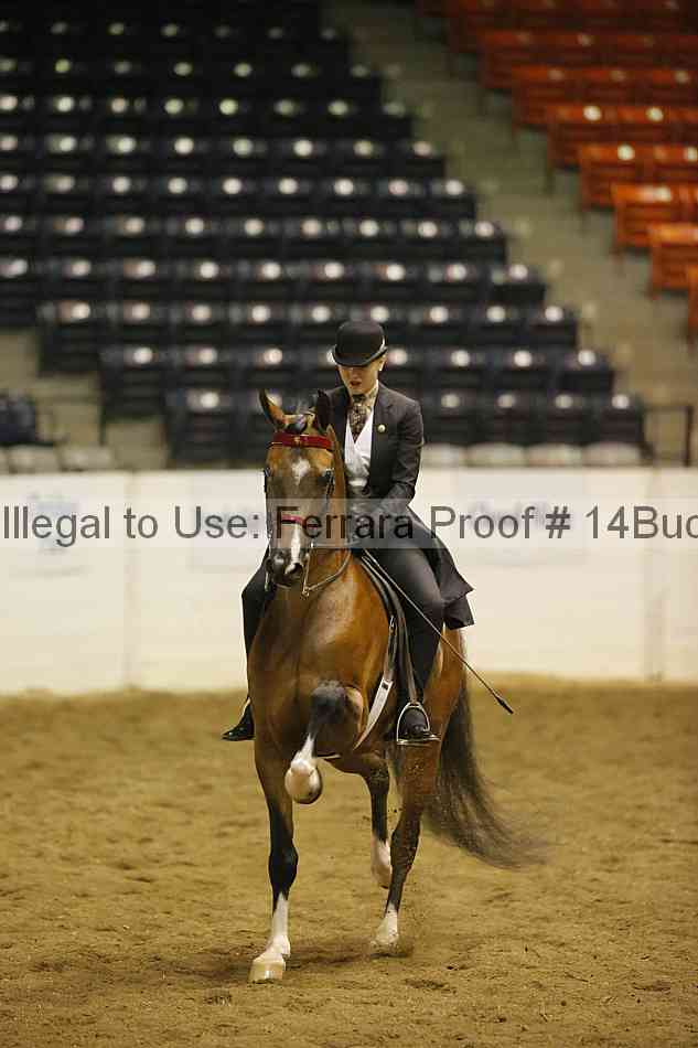 Proof 14buck_0661