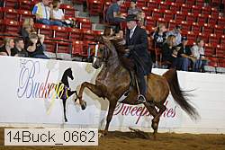14buck_0662 proof