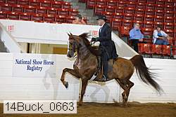 14buck_0663 proof
