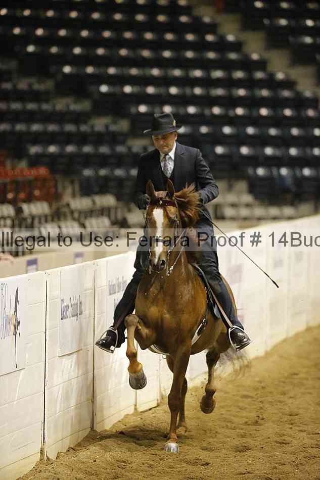 Proof 14buck_0665