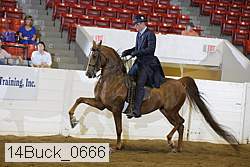 14buck_0666 proof
