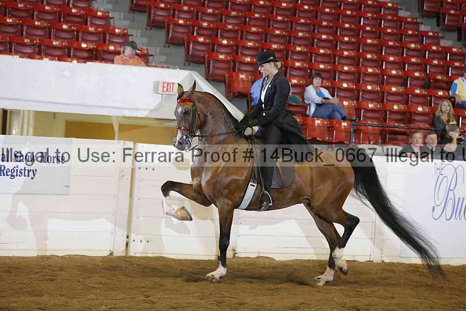 Proof 14buck_0667