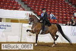 14buck_0667 proof