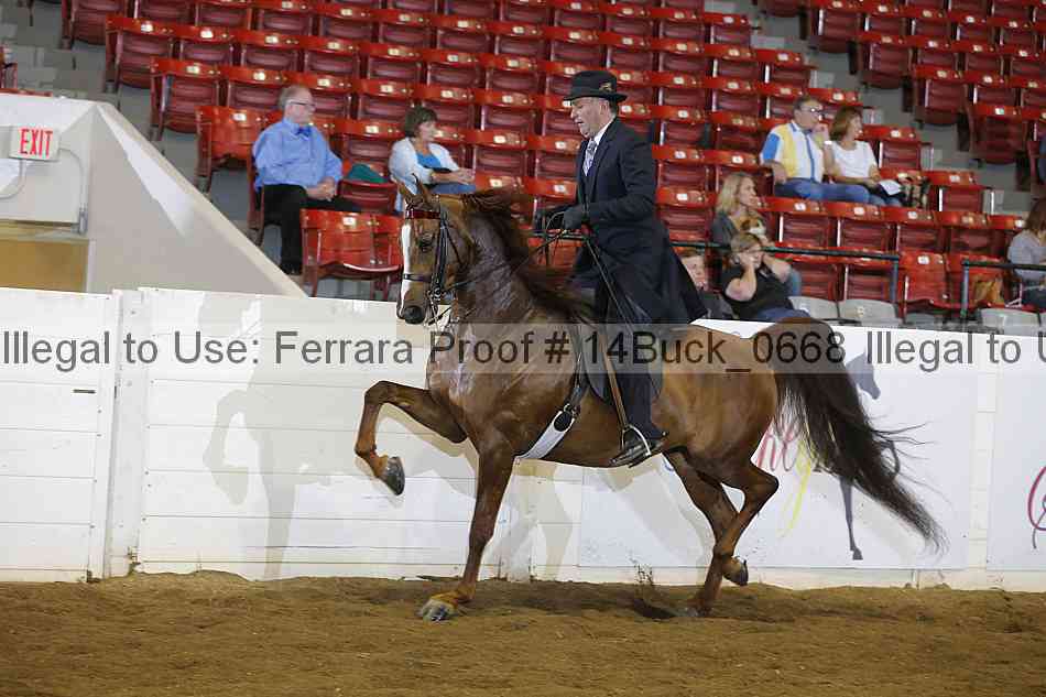 Proof 14buck_0668