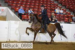 14buck_0668 proof