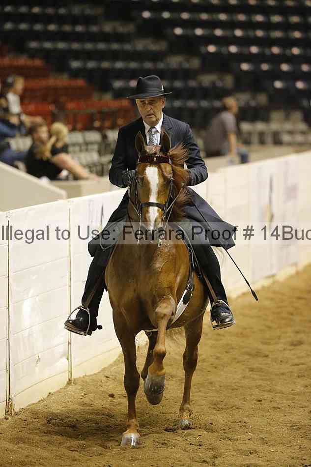 Proof 14buck_0670