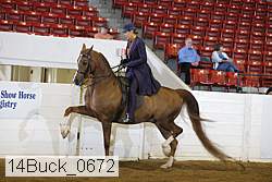14buck_0672 proof