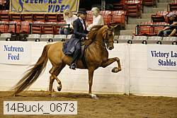 14buck_0673 proof